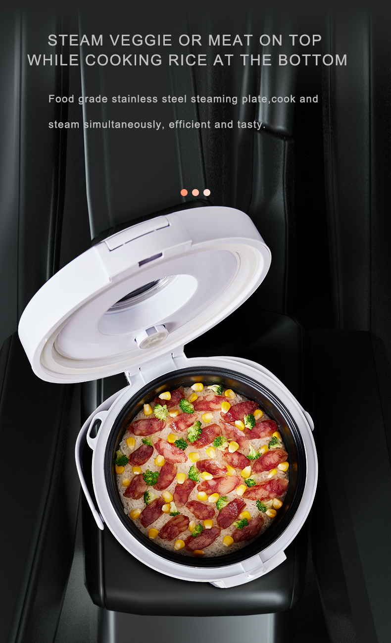 Scaldavivande Elettrico 24V pe - Home Cooking Heater recensione e prezzo