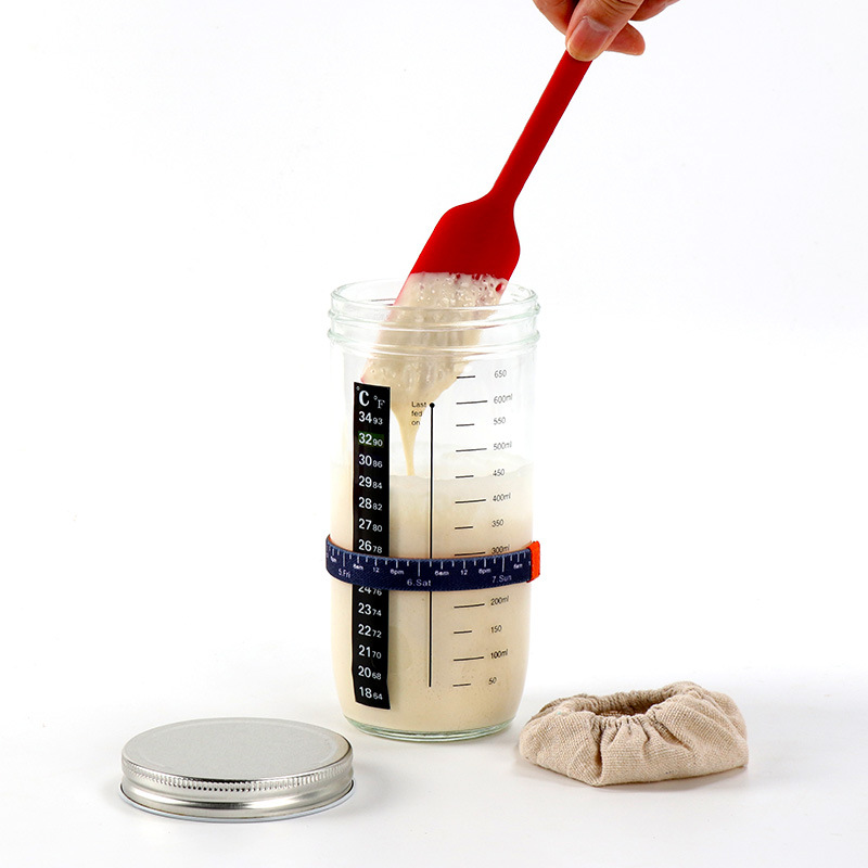 Kit Barattoli per Conservazion - Fermentation Crock recensione e prezzo