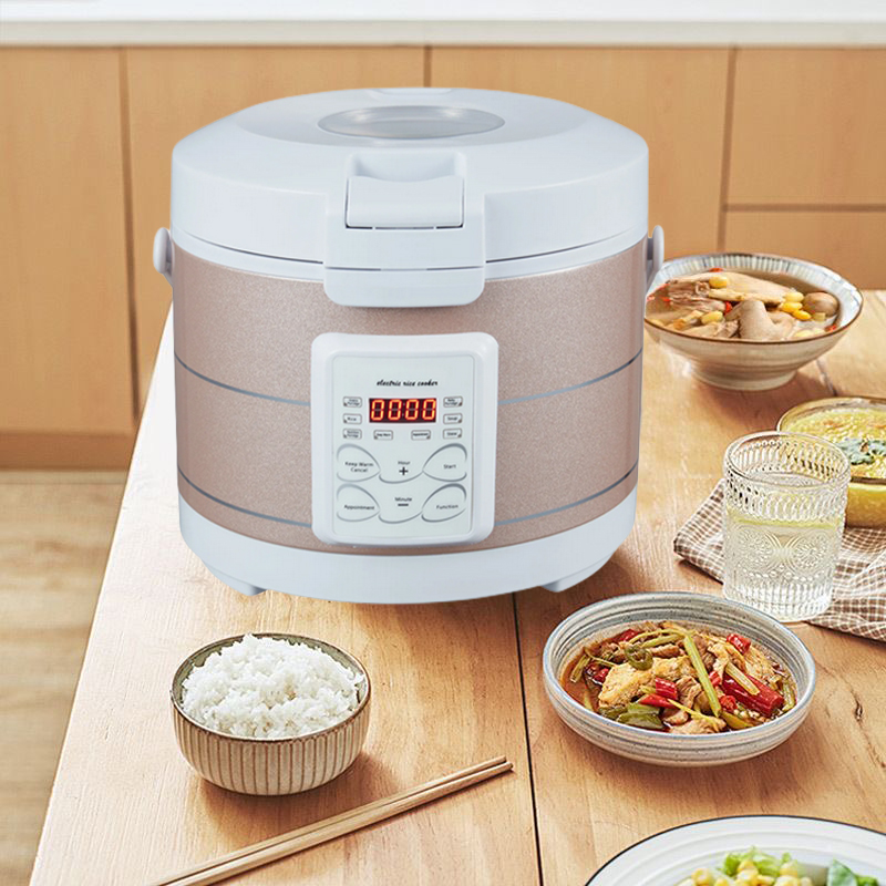 Scaldavivande Elettrico 12-24V - Home Cooking Heater recensione e prezzo